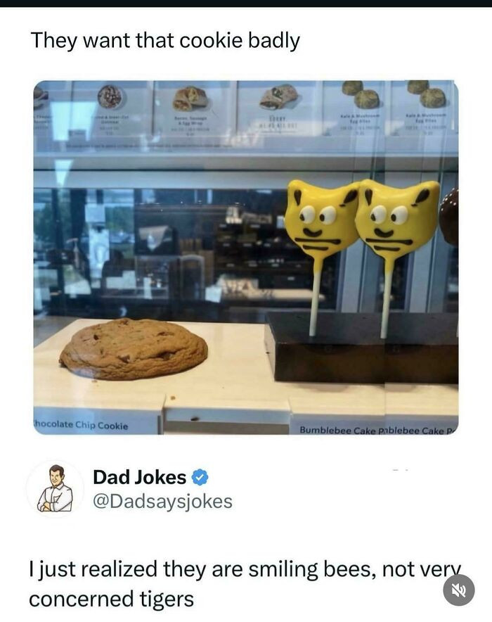 "Funny Little Double Take"