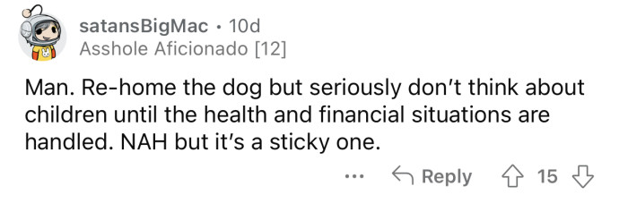 OP should rehome their dog and postpone having kids until his financial situation improves.