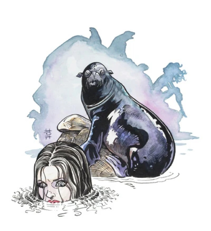 Where Selkie Stories Come From