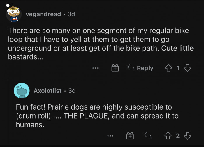 Prairie dogs are way too cute.