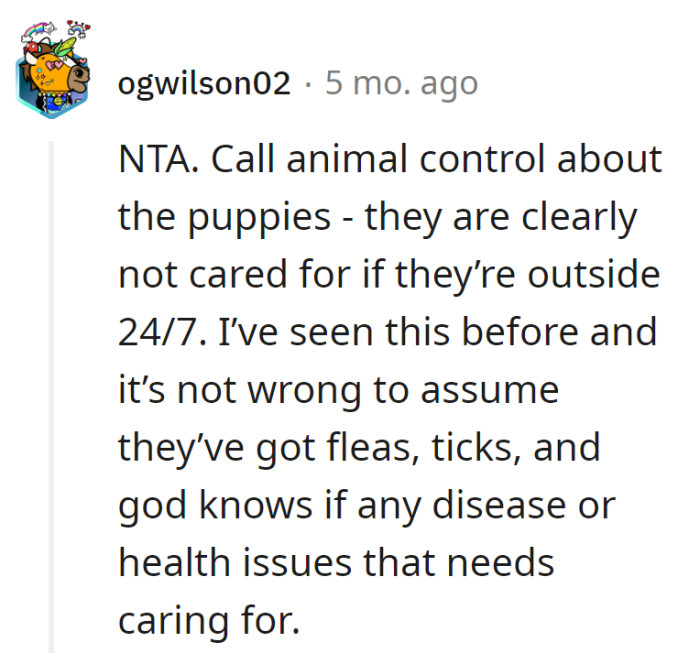 Time to dial animal control for the outdoor puppy spa experience. Fleas, ticks, and health mysteries—someone needs a wellness check!