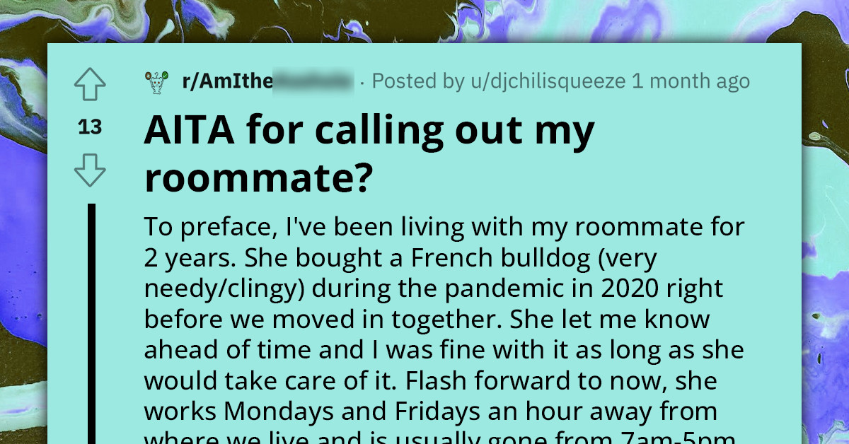 Redditor Forced To Care For Roommate's Neglected Dog Due To Their Prolonged Absence