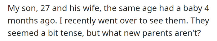 The OP said she caught some tension between her son and DIL but thought it was due to their new roles: