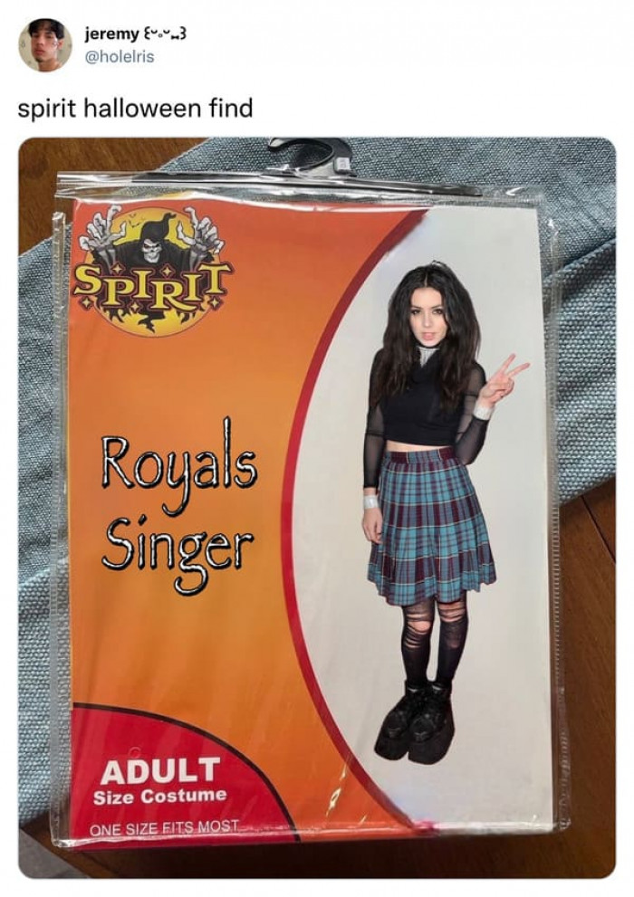 8. A Fake Spirit Halloween Costume of Royals Singer