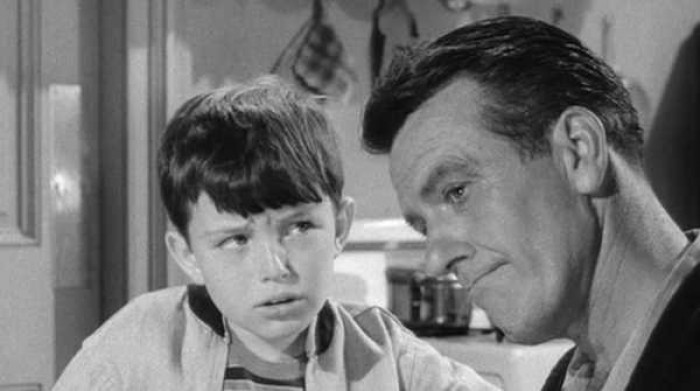 3. The classic show 'Leave it to Beaver' presents to us this father-son duo, Ward and the Beaver