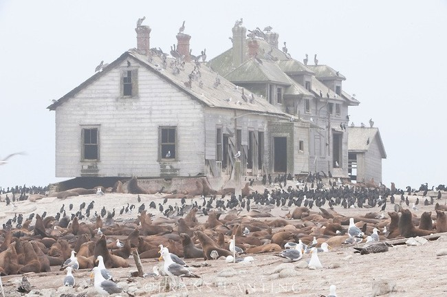 Out there off the coast of Northern California sits this quaint nine-acre island.