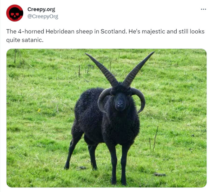 29. The inspiration for many death-metal t-shirts