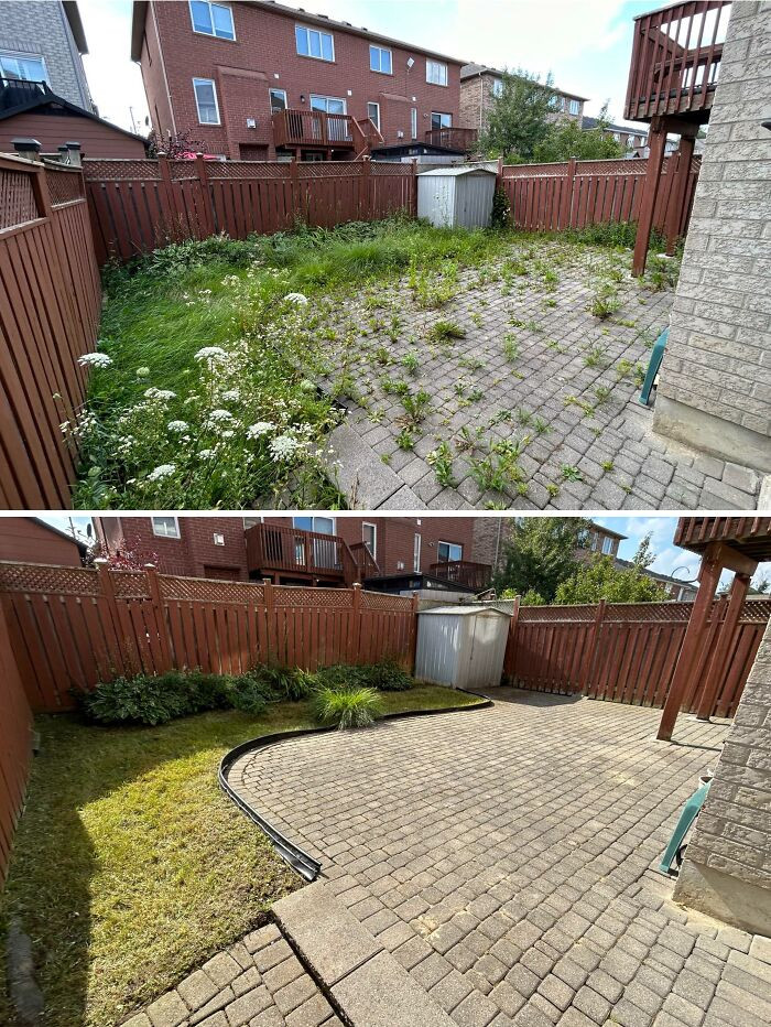 "Before/After Of A Backyard I Cleaned Up"
