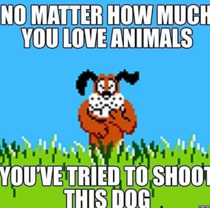 "We Know Who This Dog Is"