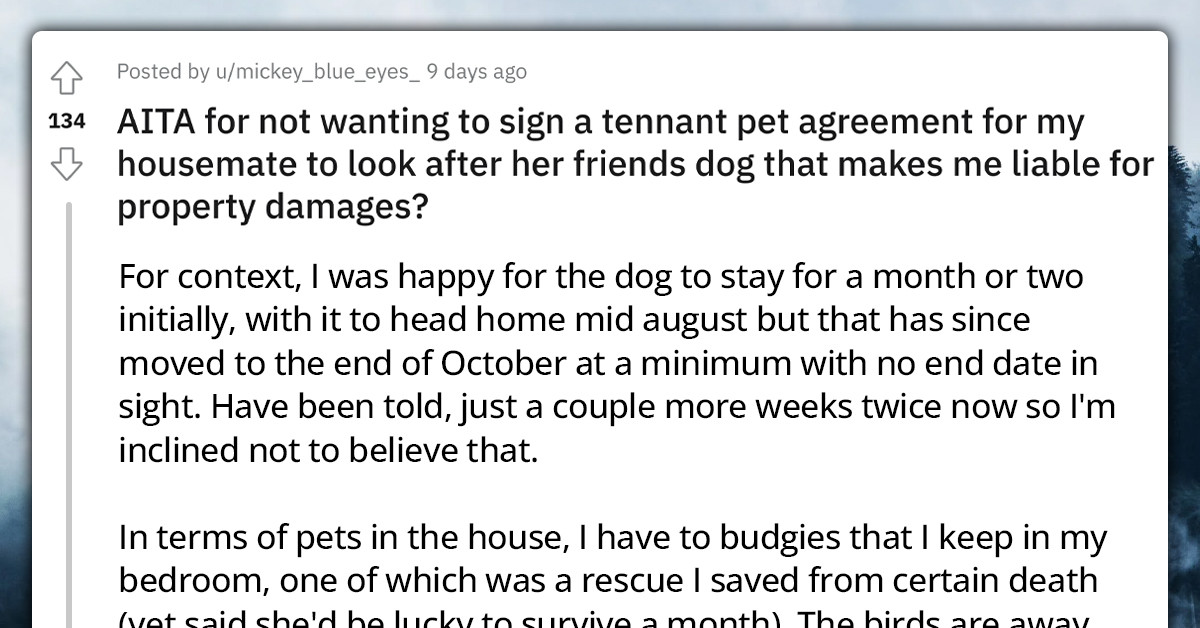 Redditor Refuses To Sign Tenancy Agreement To Be Liable For Property Damages Caused By Dog