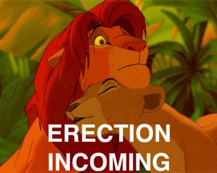 25. Oh my goodness, Simba has no pants to hide it