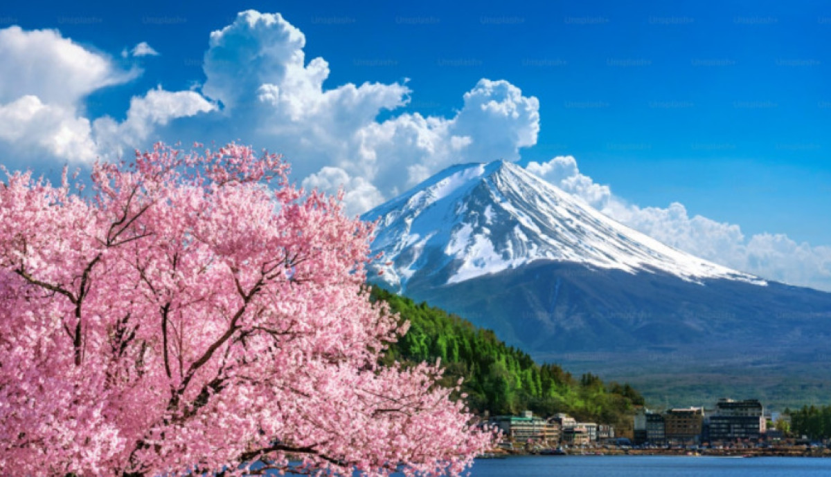 Fun Facts About Japan
