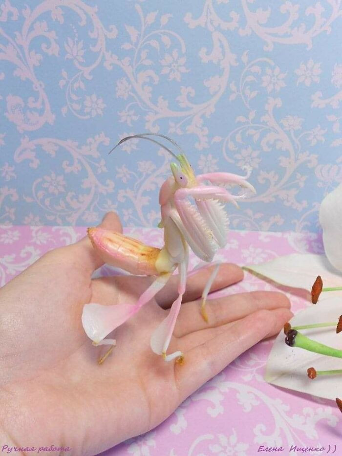 22. What a stunning orchid mantis!