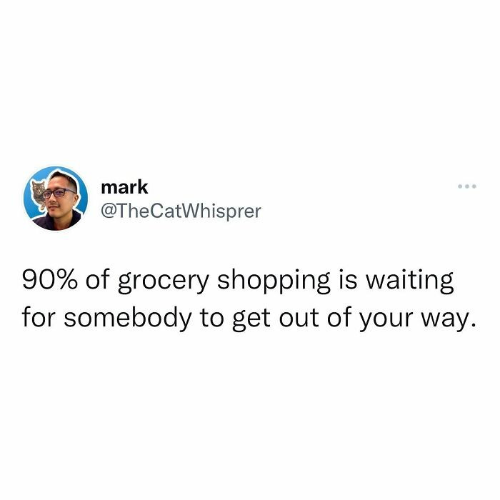 80. Grocery shopping is really just a patience marathon disguised as errands.
