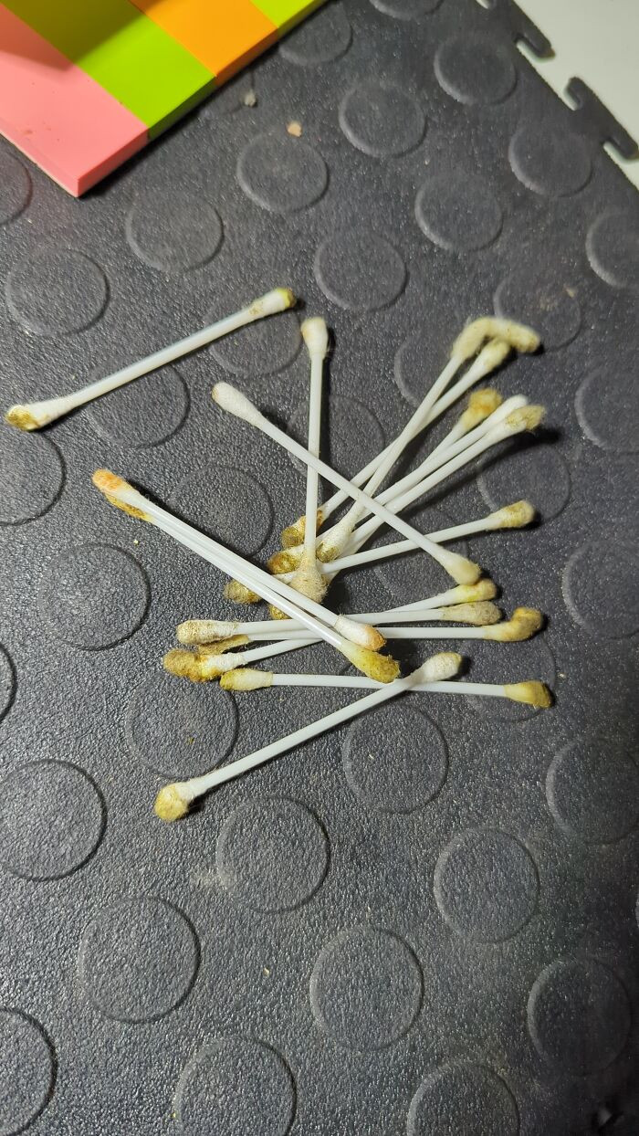 "My Coworker Cleaned His Ears At Work This Afternoon"