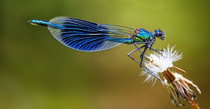 15. They look so harmless, though.