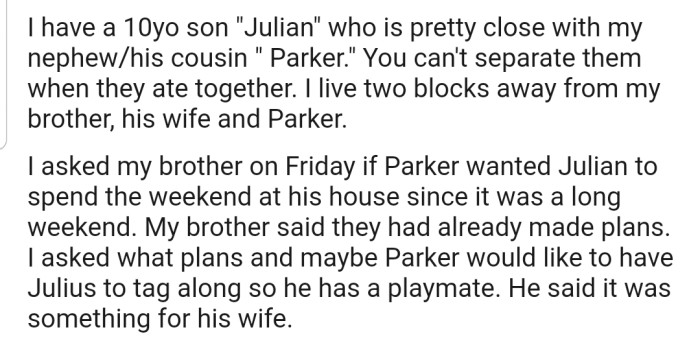 OP's 10-year-old son, Julian, and his cousin, Parker, are inseparable and they do everything together