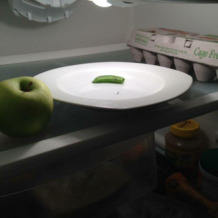 Messy kitchen counter with spilled frozen meatballs, comedic domestic sabotage grievance