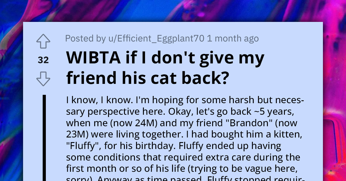 Redditor Faces Dilemma After His Friend Asks for His Cat Back After Two Years