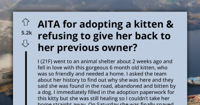 Woman Adopts Kitten From Shelter Only To Be Contacted By Previous Owner