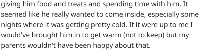 They did everything they could to help the cat but couldn't take it in because their parents would probably mind.