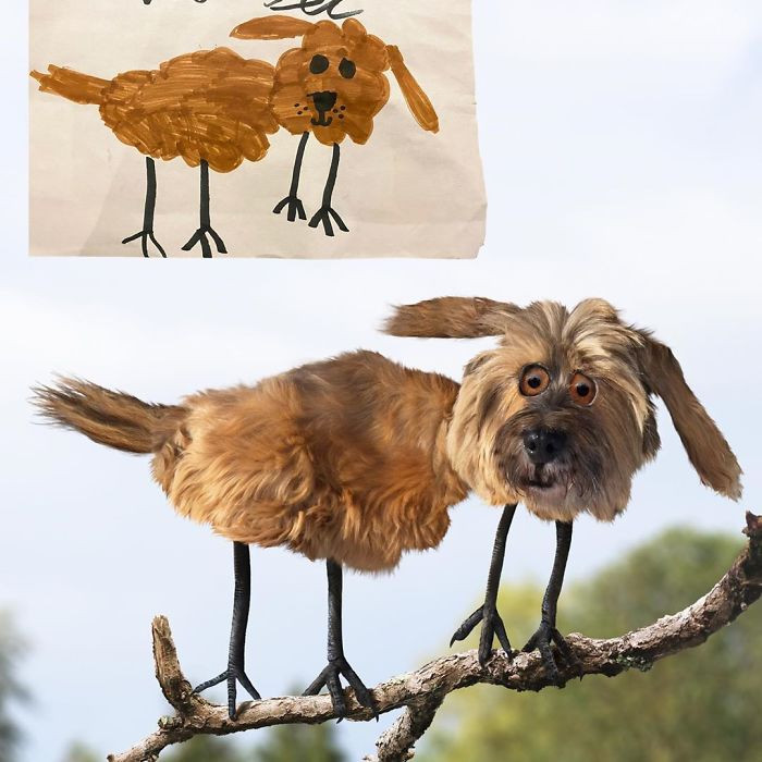 23. Just a brown doggo with bird’s legs