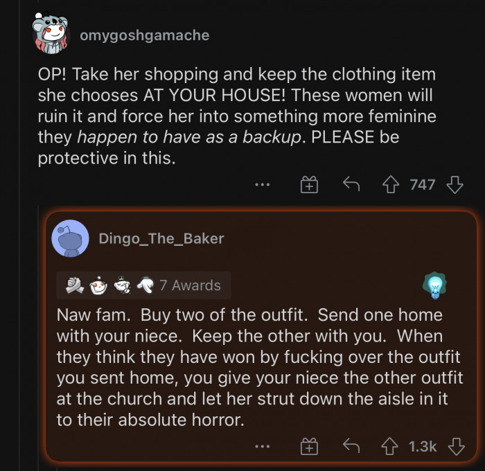 If OP doesn't protect her niece, no one will.