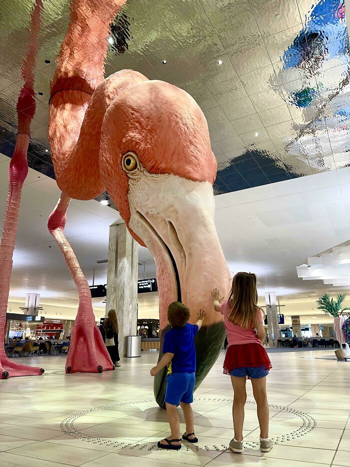 "Tampa International Airport’s New Flamingo"