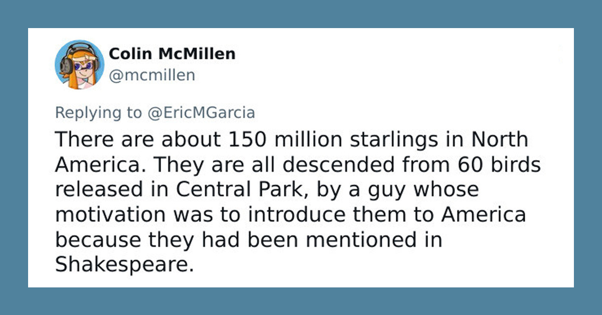 30 Twitter Users Share True Facts That Are Simply Too Weird To Believe