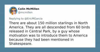 30 Twitter Users Share True Facts That Are Simply Too Weird To Believe