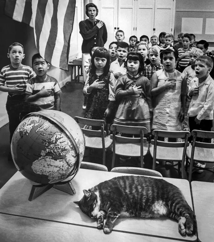 This is pretty cute though.