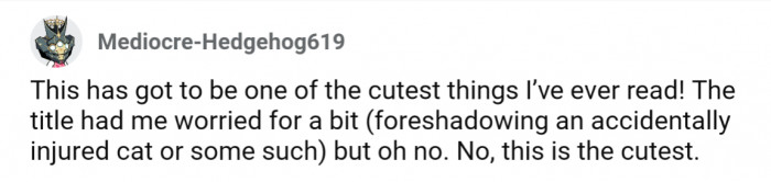 I'm glad somebody took the time to point out how freaking adorable this TIFU is