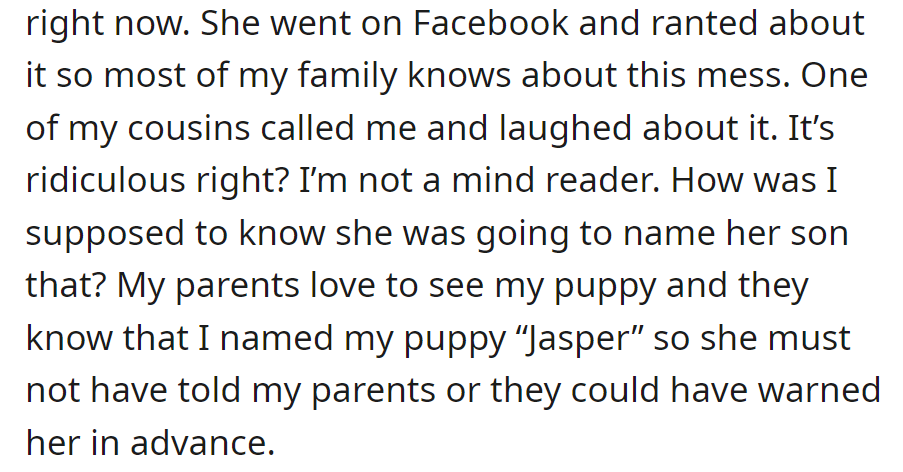 SIL ranted about the shared name for pets and the baby on Facebook. OP finds it absurd as she couldn't have known.