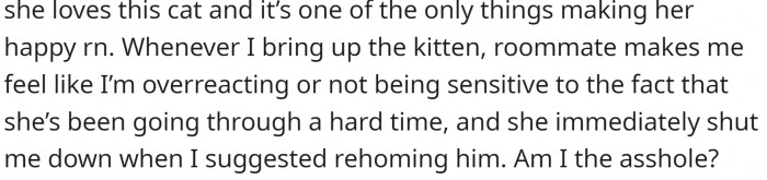 But she also understands that the kitten is the only thing her friend has to keep her hanging on.