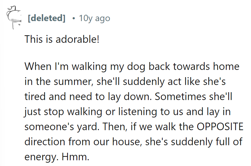 Their dog's got a knack for 