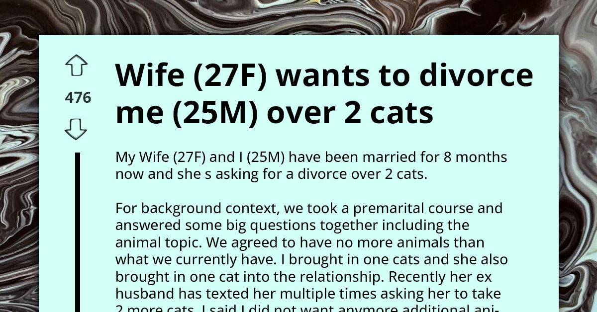 "She Would Rather Be Alone With All Of Her Cats Than Be With Me" Wife Wants Divorce Because Husband Won't Take In Two More Cats