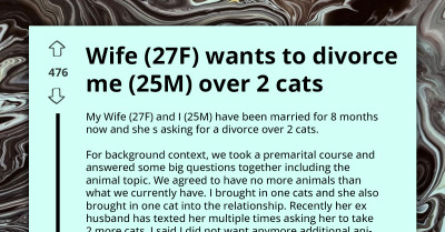 "She Would Rather Be Alone With All Of Her Cats Than Be With Me" Wife Wants Divorce Because Husband Won't Take In Two More Cats