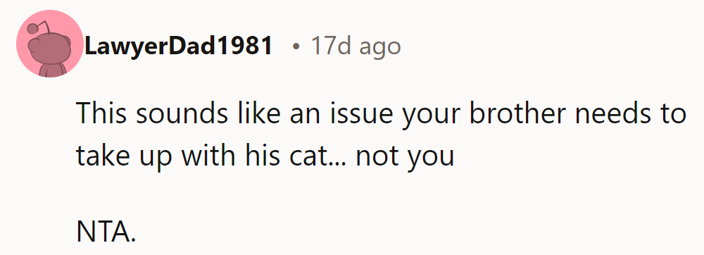 NTA. Their brother should discuss it with the cat—cats choose their favorites, not people.