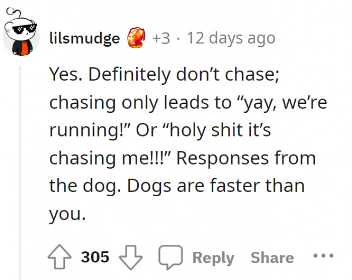 Don't chase—the dog either thinks you're scary or that you're playing with them. Either way, it is still going to run, and it is faster than you.