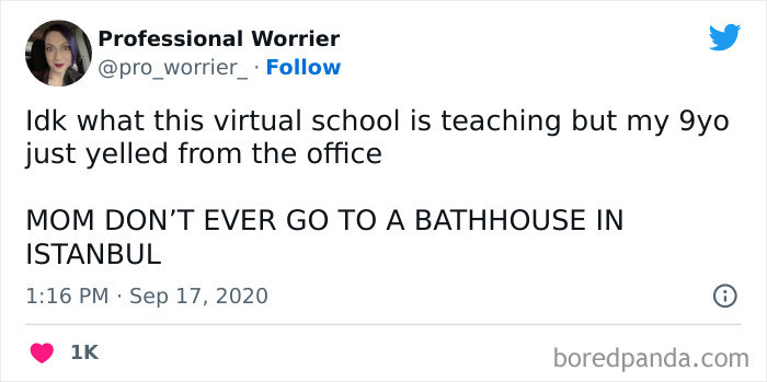 17. What is this virtual school teaching?