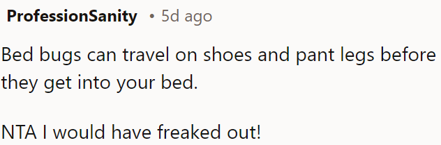 Bed bugs can hitchhike on shoes and clothing, potentially leading to infestations in someone's bed.