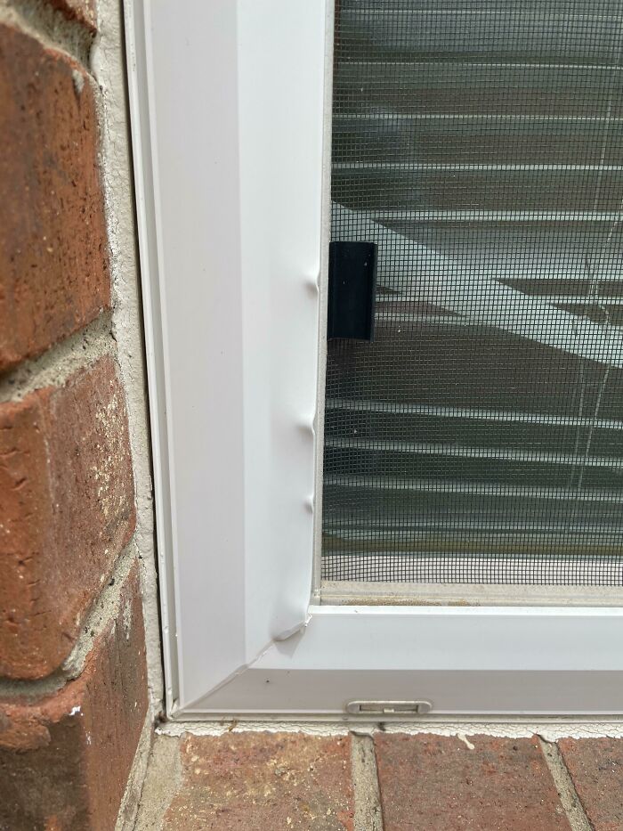 10. Thought I Heard A Noise Coming From Outside My Window A Few Nights Ago But Brushed It Off. Noticed This This Morning