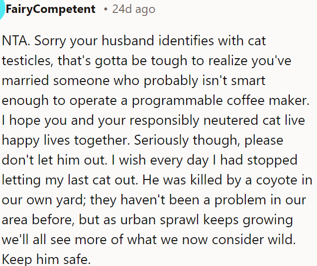 OP's husband's misguided views shouldn't compromise the cat's safety.