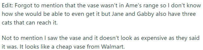 However, upon picking up her daughter, Jane informed OP that the child had broken an expensive vase gifted by Gabby's grandmother.