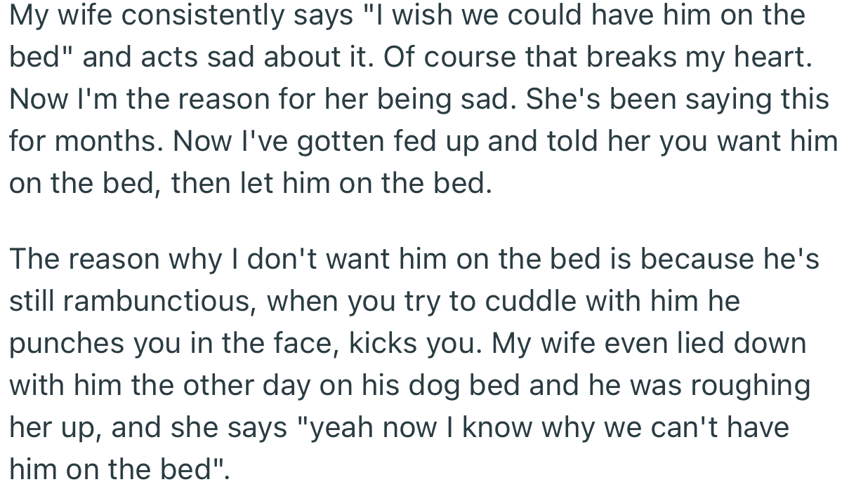 OP’s Wife Was Eager for Their Dog to Sleep with Them on the Same Bed, Against OP’s Wishes