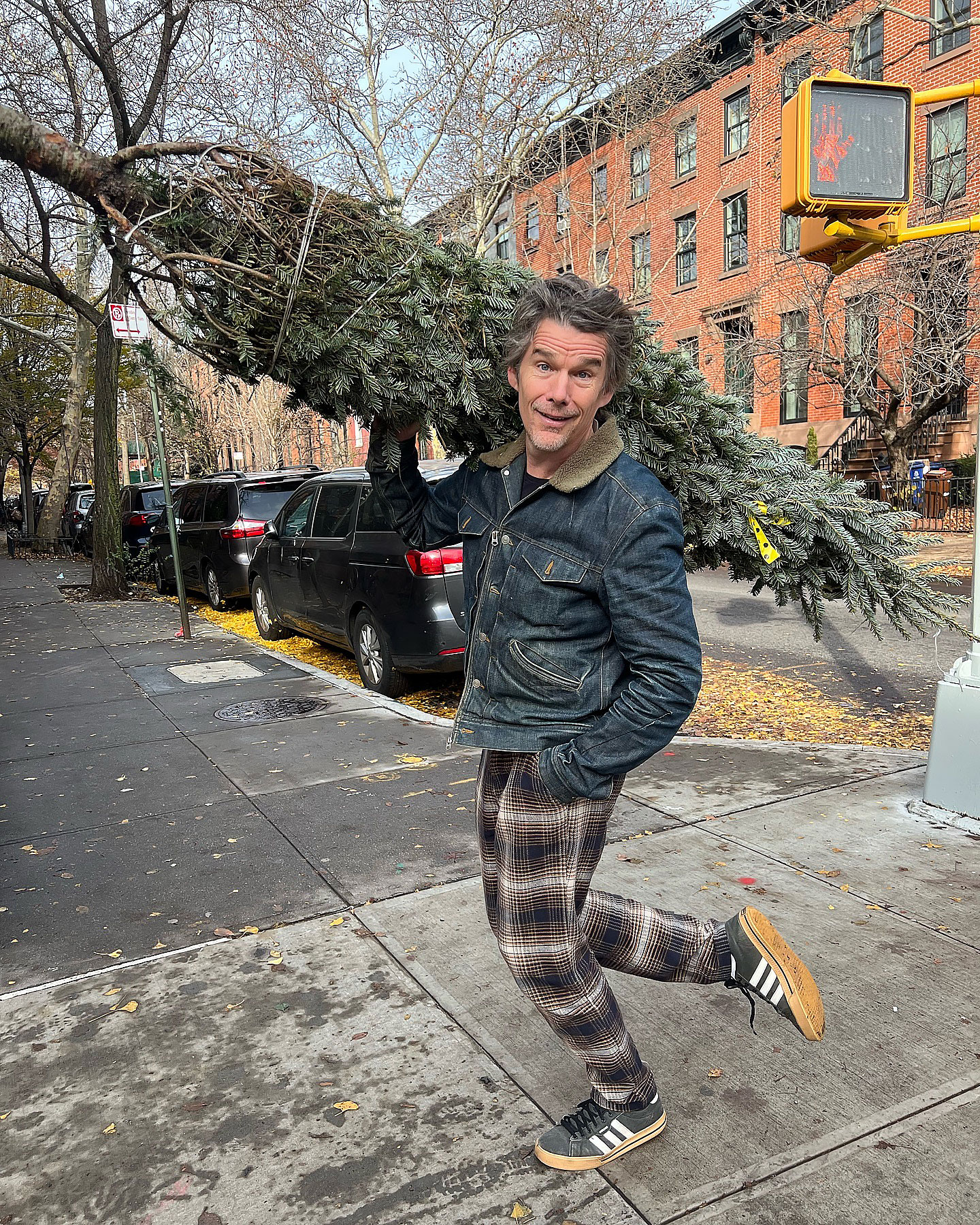 17. Ethan Hawke heading out to dispose of his holiday decor