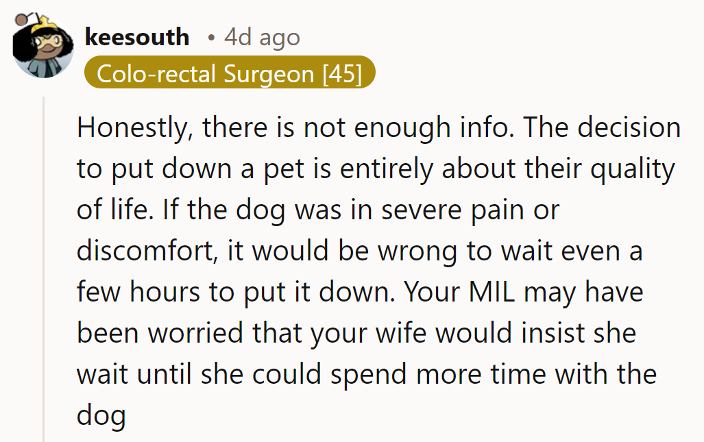 Pets first, but MIL's empathy meter needs a tune-up. Waiting wouldn't have meant more time, just more pain.