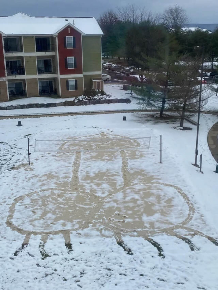 16. Looked out the window this morning and…