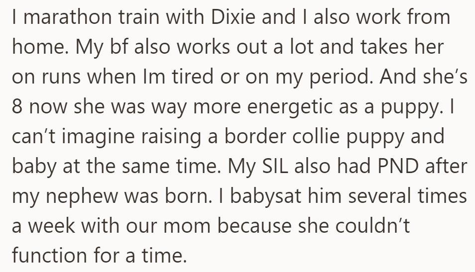 OP marathon trains with their Border Collie, Dixie, and works from home. Their boyfriend helps by taking Dixie on runs when OP is tired.