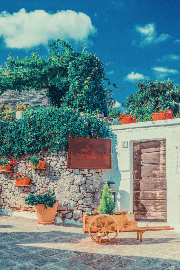 12. Nature is truly amazing